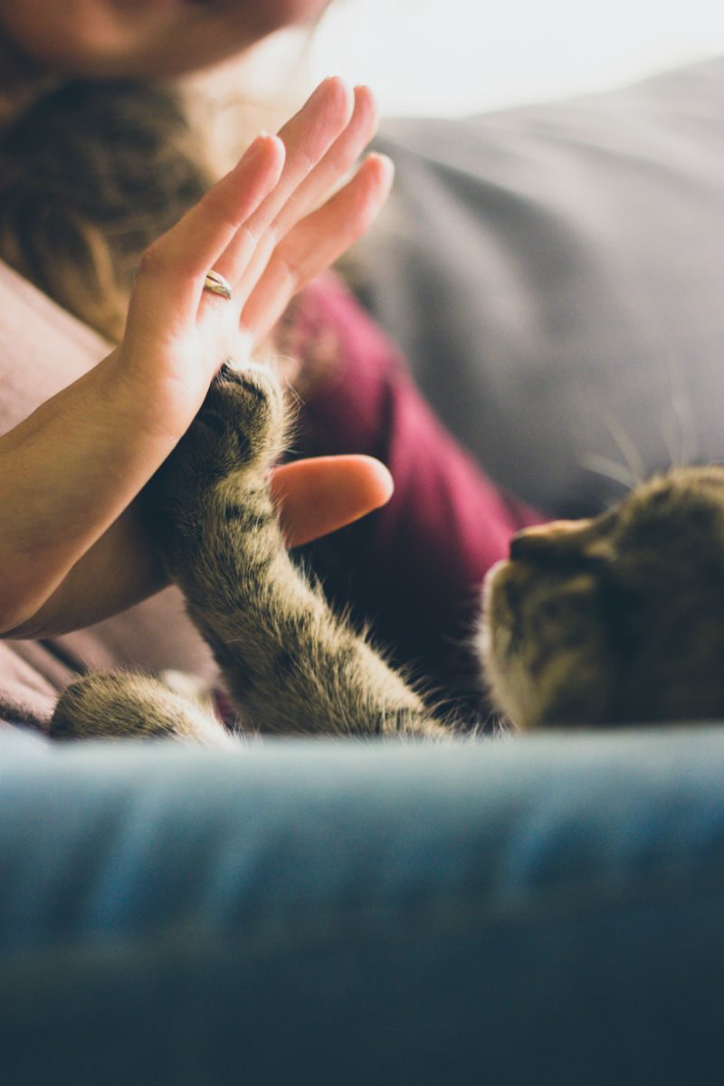 Marketing Partnerships are like high fives for your business! 